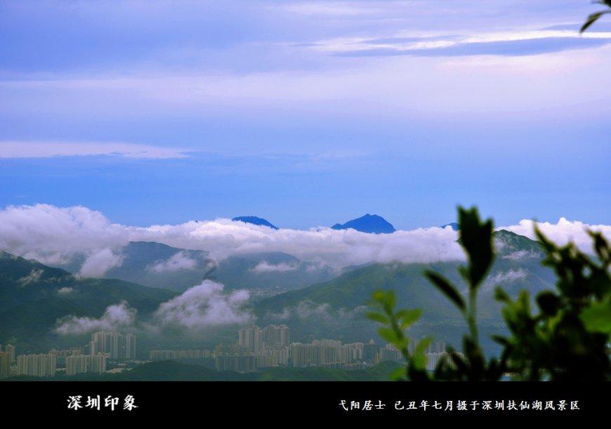 逃离整洁的庭院
