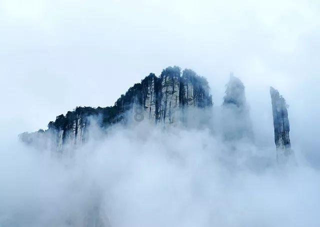 海底世界填颜色4