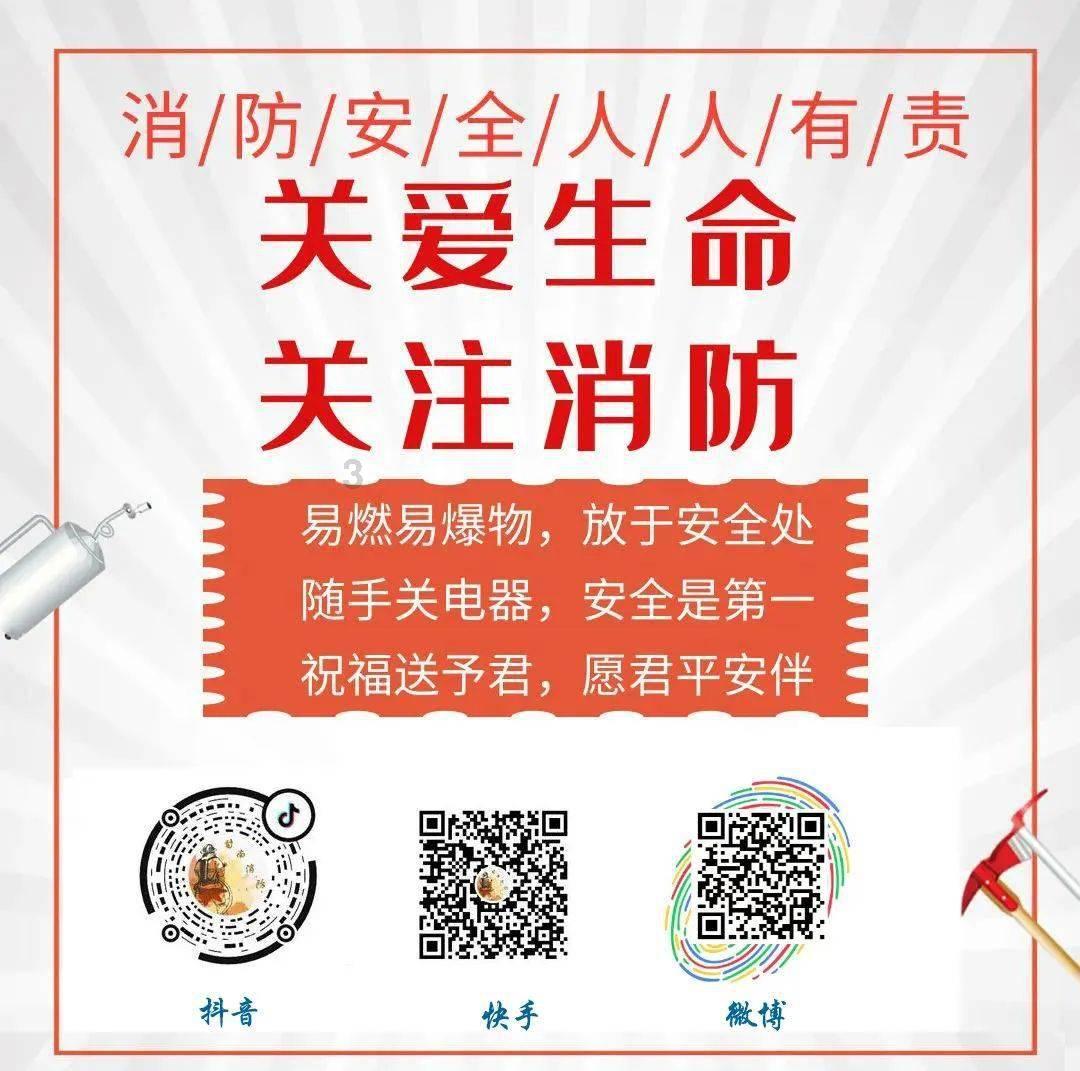 逗小猴开心系列205