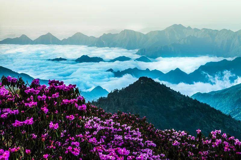 泰坦黎明